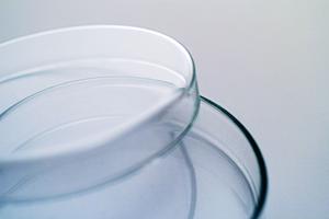 矯正歯科の専門医が教える！京都で歯並びの悩みを解消する最適な治療法とは？