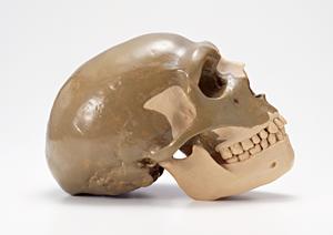 渋谷で選ばれるインプラント治療の最新事情と成功の秘訣2025