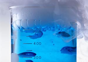 名東区でセラミック治療が出来る病院