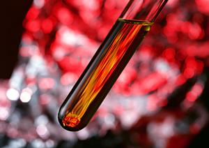 2026年版:秋田で婦人科検診を徹底解説!安心・快適に受診するための全ポイント