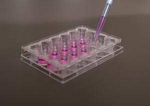 金沢文庫の内科おすすめ10選【2026年最新ランキング】信頼できる医療サービスを徹底解説